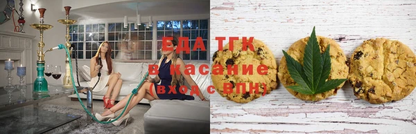 СК Аркадак