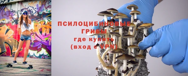 СК Аркадак