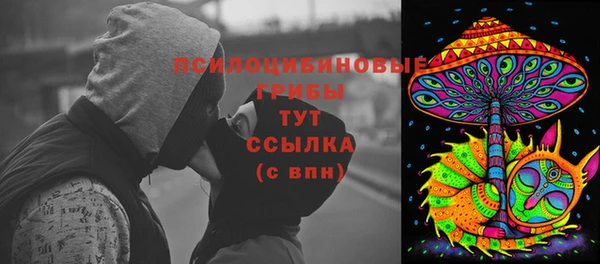 PSILOCYBIN Арсеньев