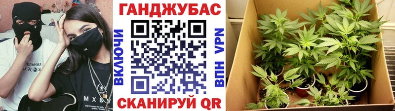 Бошки Шишки ГИДРОПОН Сусуман
